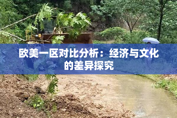 欧美一区对比分析：经济与文化的差异探究