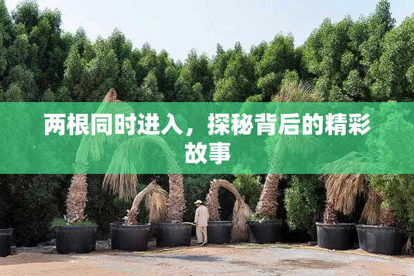 两根同时进入，探秘背后的精彩故事