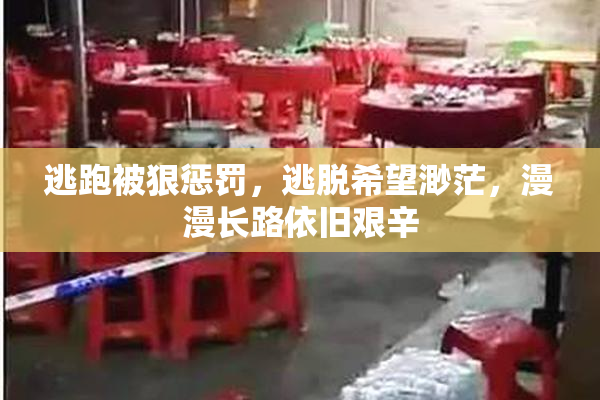 逃跑被狠惩罚，逃脱希望渺茫，漫漫长路依旧艰辛