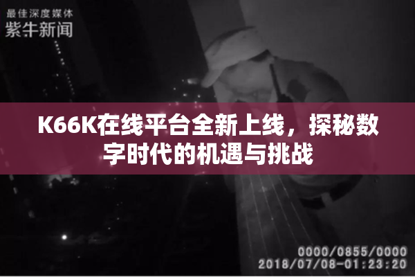 K66K在线平台全新上线，探秘数字时代的机遇与挑战