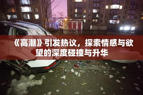《高潮》引发热议，探索情感与欲望的深度碰撞与升华