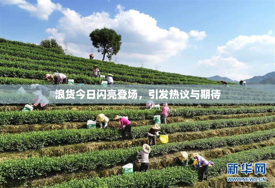 浪货今日闪亮登场，引发热议与期待