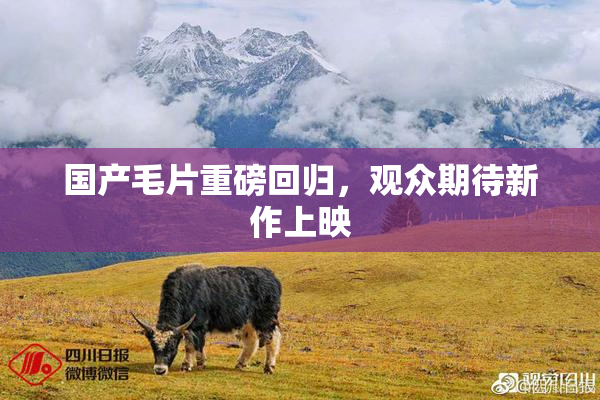 国产毛片重磅回归，观众期待新作上映