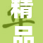 精品码一重现，带你领略新奇魅力！