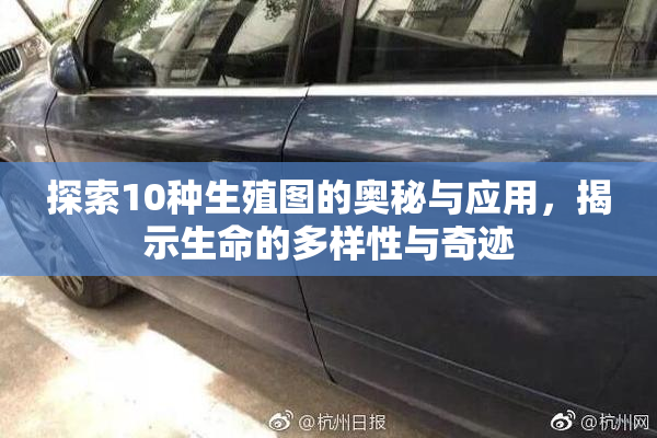 探索10种生殖图的奥秘与应用，揭示生命的多样性与奇迹