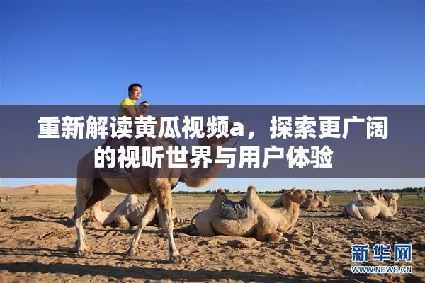 重新解读黄瓜视频a，探索更广阔的视听世界与用户体验
