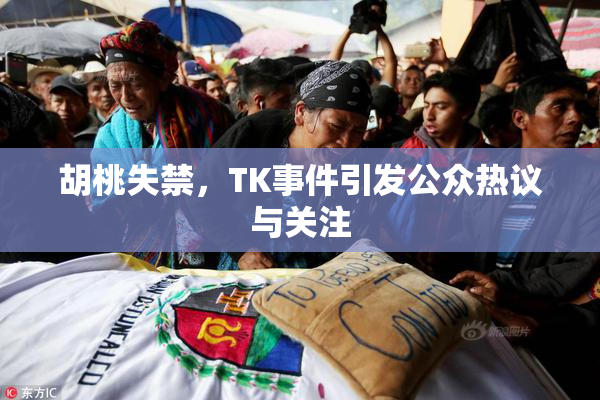 胡桃失禁，TK事件引发公众热议与关注