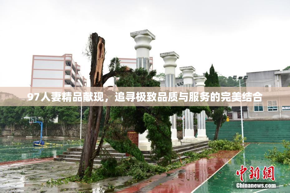 97人妻精品献现，追寻极致品质与服务的完美结合