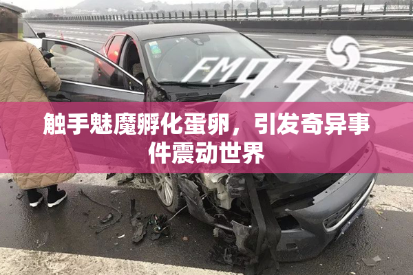 触手魅魔孵化蛋卵，引发奇异事件震动世界