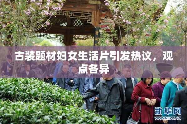 古装题材妇女生活片引发热议，观点各异