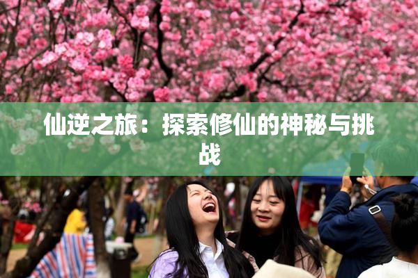 仙逆之旅：探索修仙的神秘与挑战