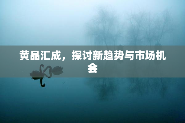 黄品汇成，探讨新趋势与市场机会
