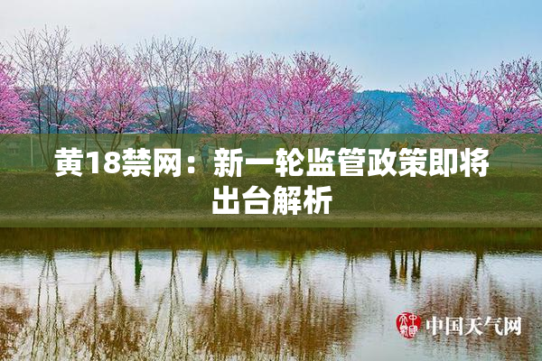 黄18禁网：新一轮监管政策即将出台解析