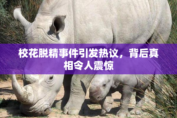 校花脱精事件引发热议，背后真相令人震惊