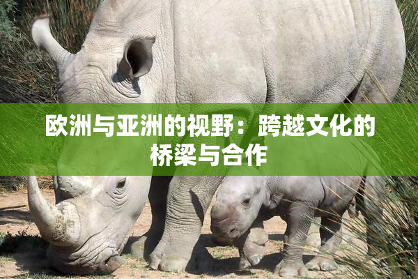欧洲与亚洲的视野：跨越文化的桥梁与合作