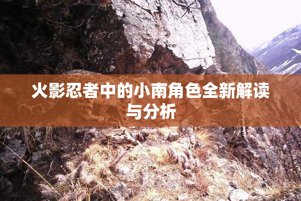 火影忍者中的小南角色全新解读与分析