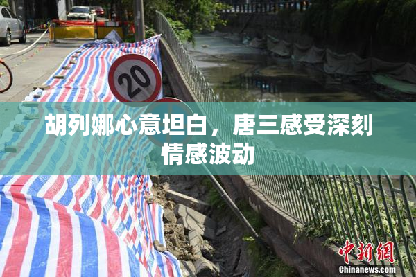 胡列娜心意坦白，唐三感受深刻情感波动