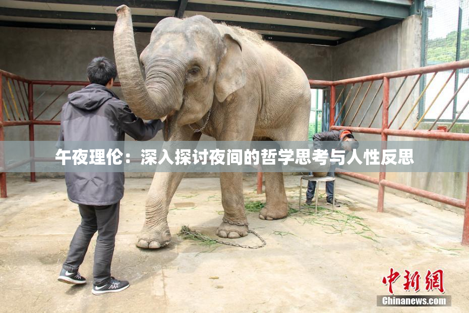 午夜理伦：深入探讨夜间的哲学思考与人性反思