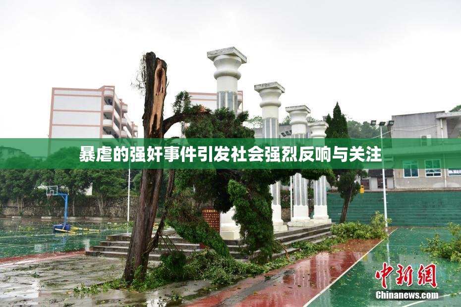 暴虐的强奸事件引发社会强烈反响与关注