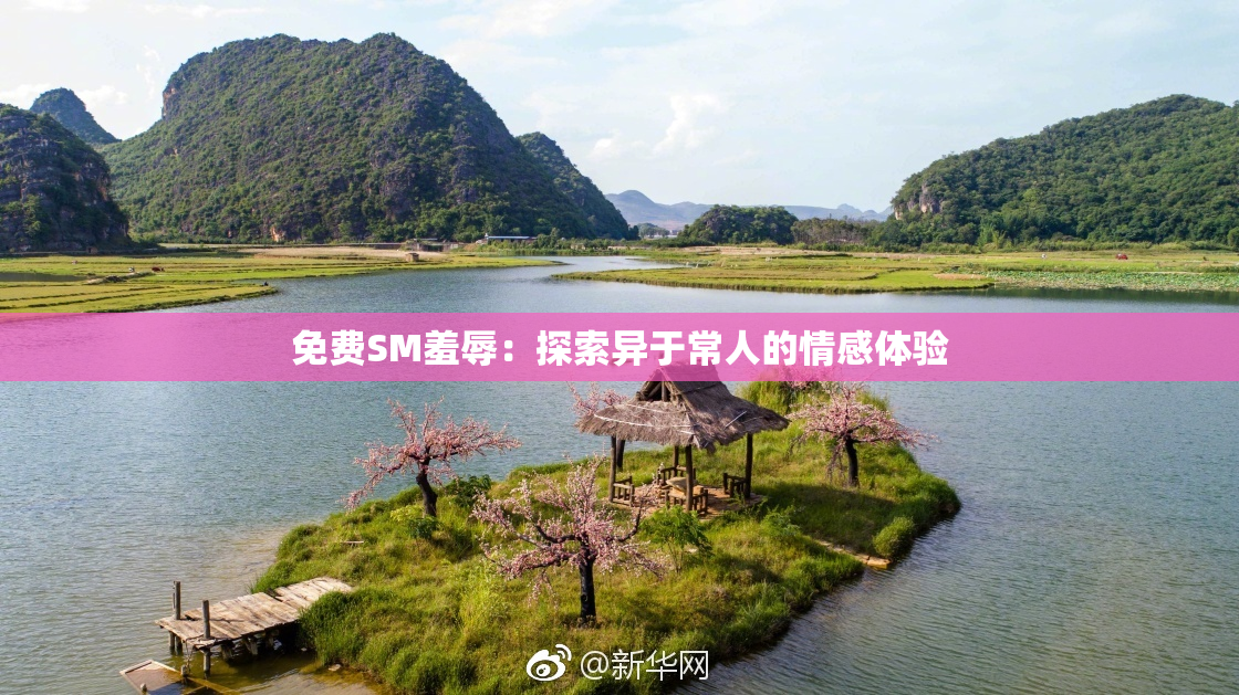 免费SM羞辱：探索异于常人的情感体验