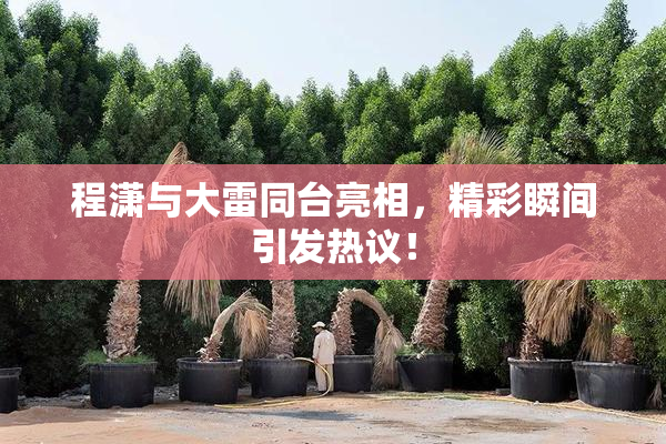 程潇与大雷同台亮相，精彩瞬间引发热议！