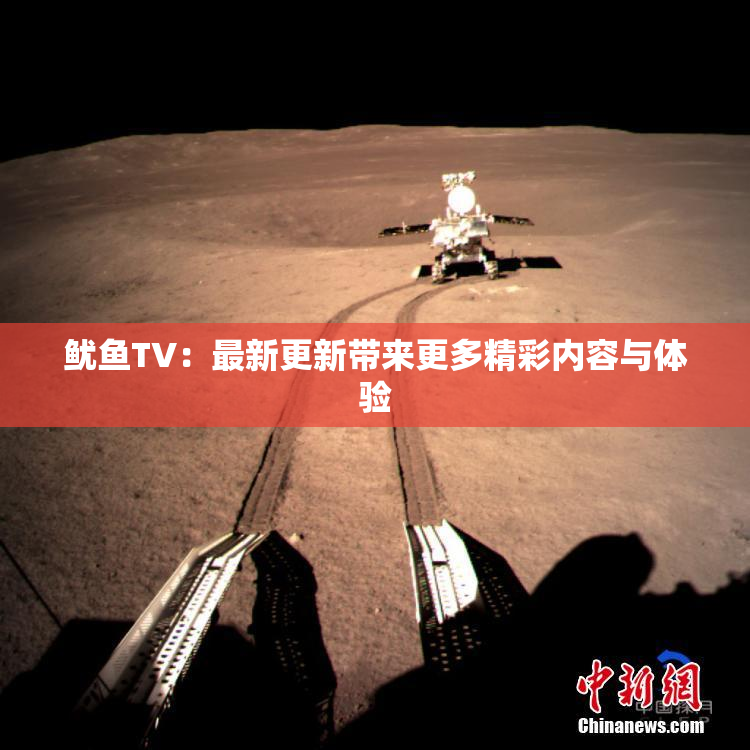 鱿鱼TV：最新更新带来更多精彩内容与体验
