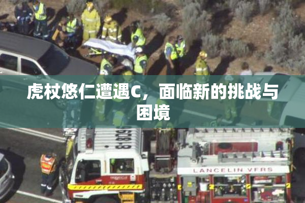 虎杖悠仁遭遇C，面临新的挑战与困境