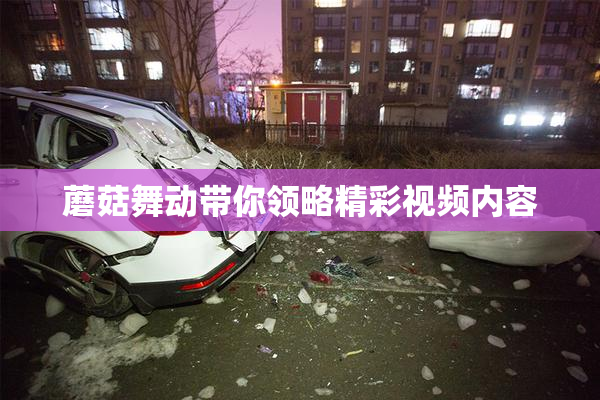 蘑菇舞动带你领略精彩视频内容