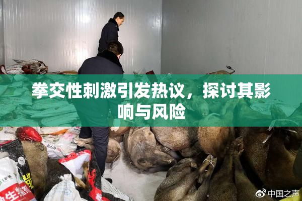 拳交性刺激引发热议，探讨其影响与风险