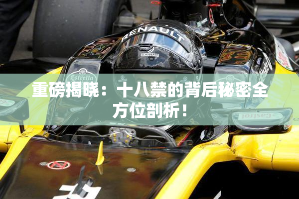 重磅揭晓：十八禁的背后秘密全方位剖析！