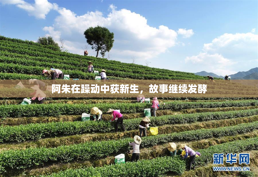 阿朱在躁动中获新生，故事继续发酵