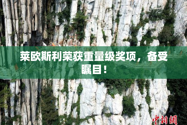 莱欧斯利荣获重量级奖项，备受瞩目！