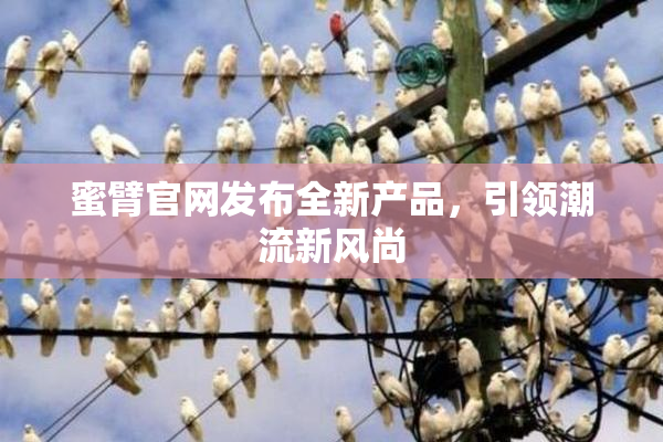蜜臂官网发布全新产品，引领潮流新风尚