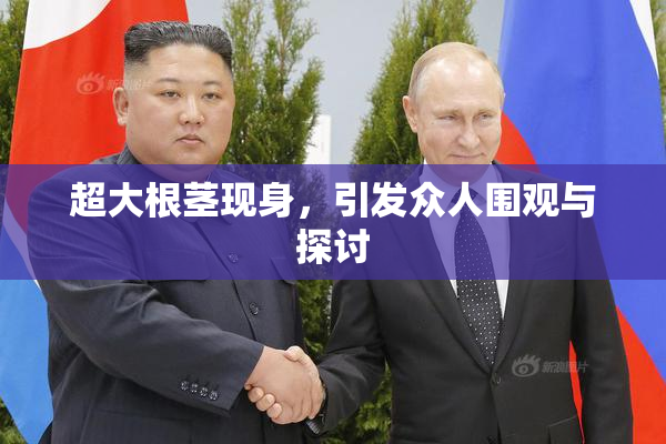 超大根茎现身，引发众人围观与探讨
