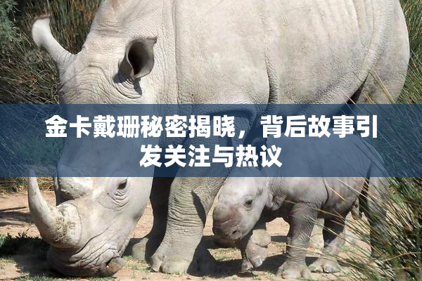 金卡戴珊秘密揭晓，背后故事引发关注与热议