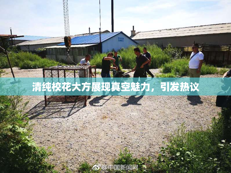 清纯校花大方展现真空魅力，引发热议