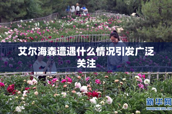 艾尔海森遭遇什么情况引发广泛关注