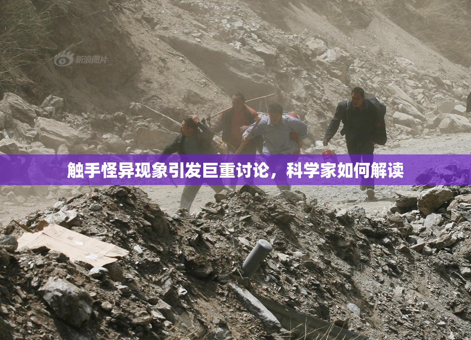 触手怪异现象引发巨重讨论，科学家如何解读