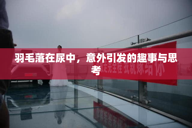 羽毛落在尿中，意外引发的趣事与思考