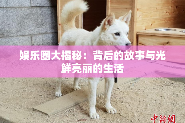 娱乐圈大揭秘：背后的故事与光鲜亮丽的生活