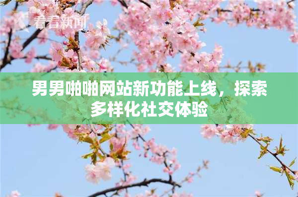 男男啪啪网站新功能上线，探索多样化社交体验