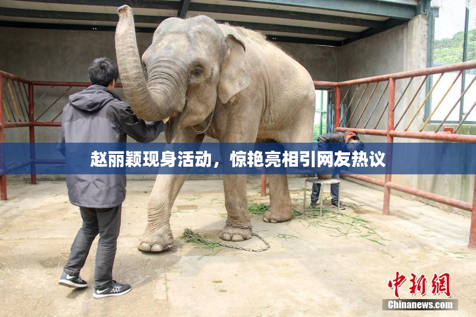赵丽颖现身活动，惊艳亮相引网友热议