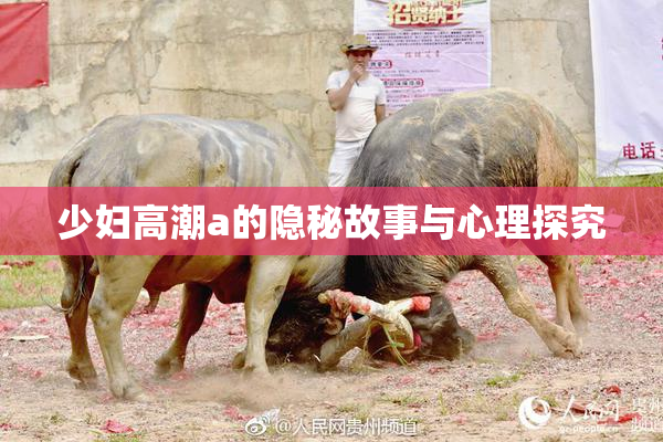 少妇高潮a的隐秘故事与心理探究