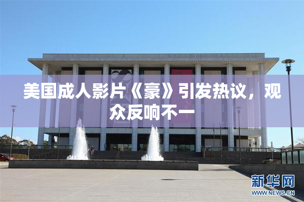 美国成人影片《豪》引发热议，观众反响不一