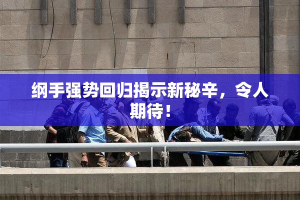 纲手强势回归揭示新秘辛，令人期待！