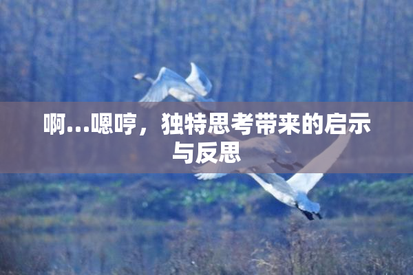 啊…嗯哼，独特思考带来的启示与反思