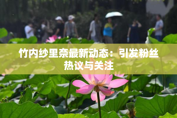 竹内纱里奈最新动态：引发粉丝热议与关注
