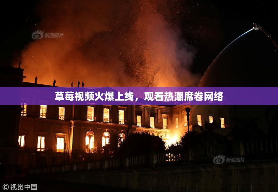 草莓视频火爆上线，观看热潮席卷网络