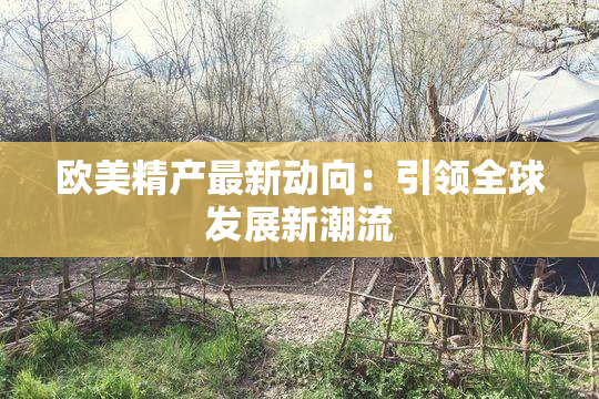 欧美精产最新动向：引领全球发展新潮流