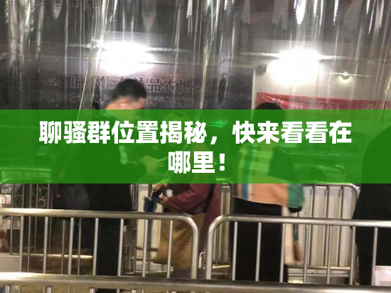 聊骚群位置揭秘，快来看看在哪里！
